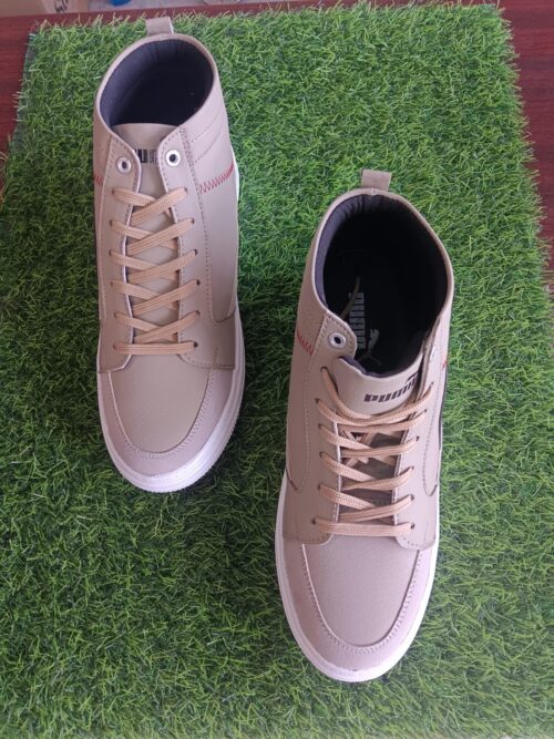Men's Shoes